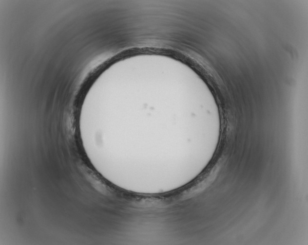 X0000113900974200910221435