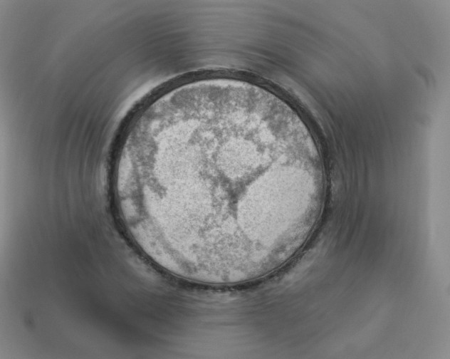 X0000113900975200910221435