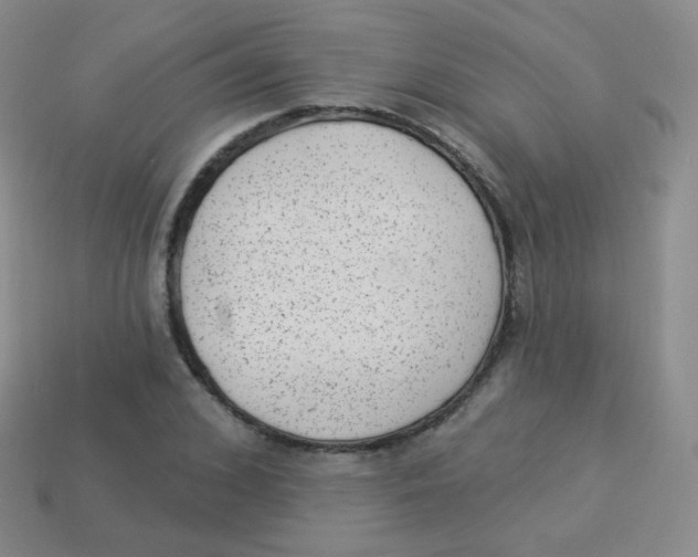 X0000113900976200910221435