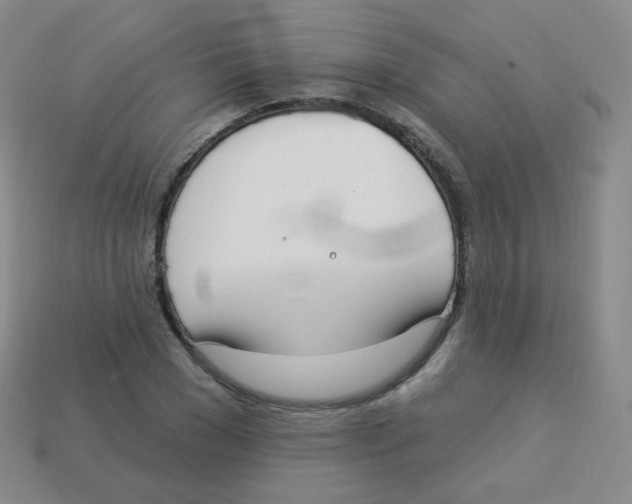 X0000113900977200910221435