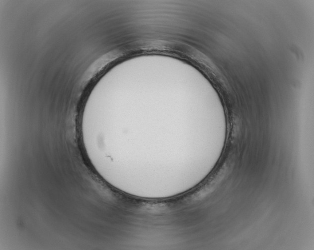 X0000113900978200910221435