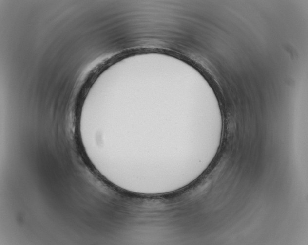 X0000113900979200910221435