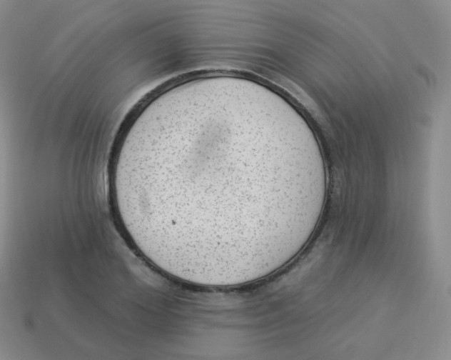 X0000113900980200910221435