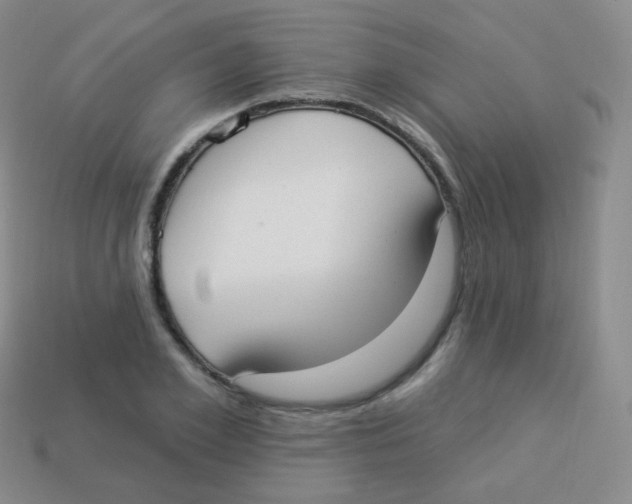 X0000113900981200910221435