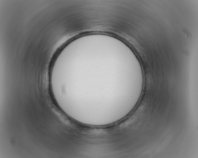 X0000113900982200910221435