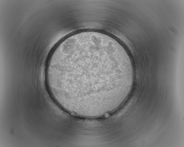 X0000113900983200910221435