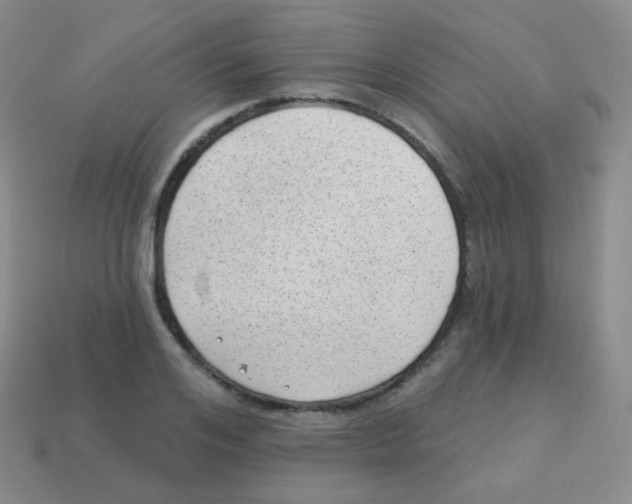 X0000113900984200910221435