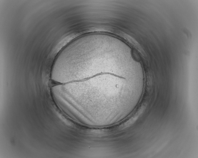 X0000113900985200910221435