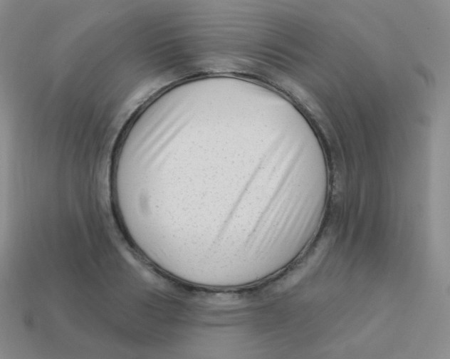 X0000113900986200910221435