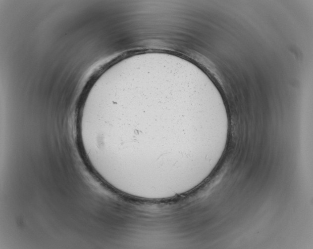 X0000113900987200910221435