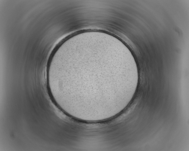 X0000113900988200910221435