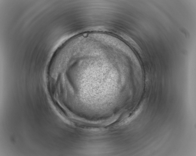 X0000113900989200910221435