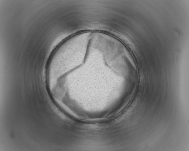 X0000113900990200910221435