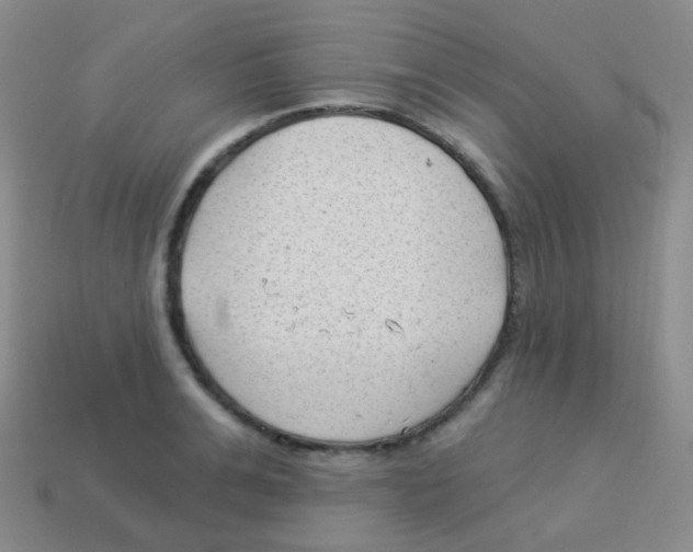 X0000113900991200910221435