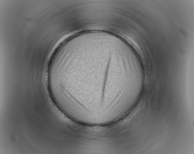 X0000113900992200910221435