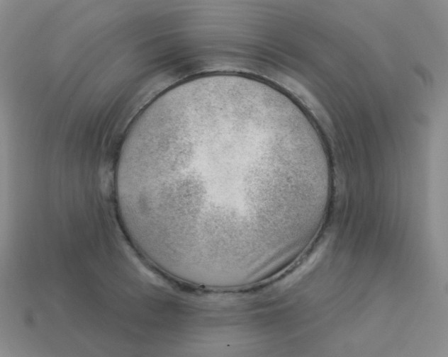 X0000113900993200910221435