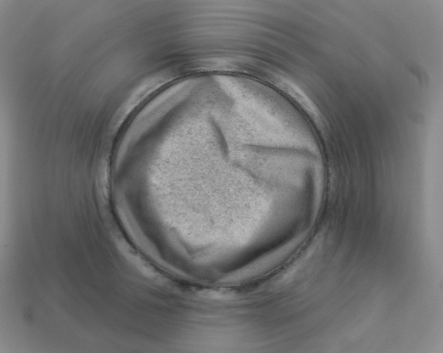 X0000113900994200910221435