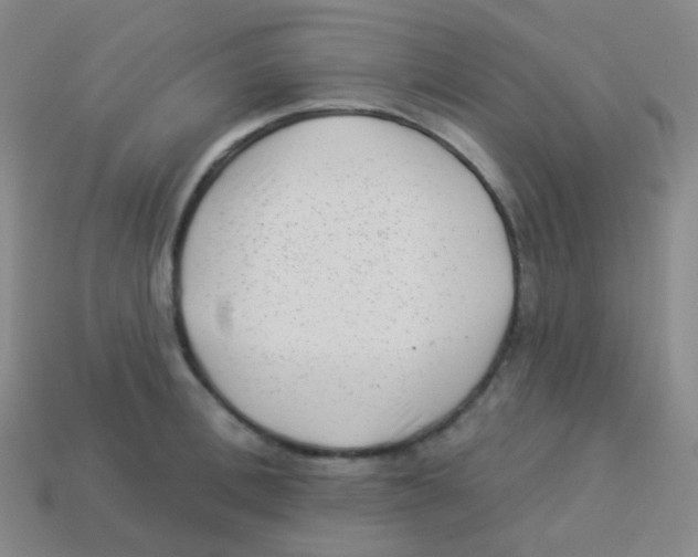 X0000113900996200910221435