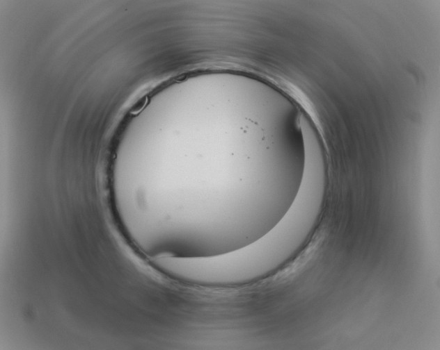 X0000113900997200910221434