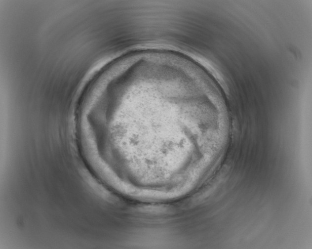 X0000113900998200910221434