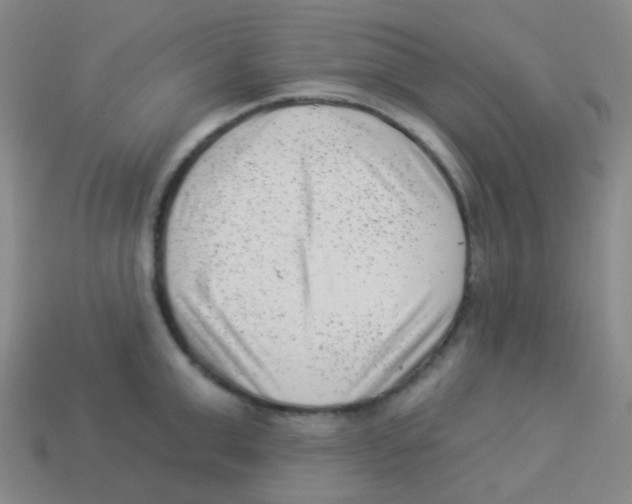 X0000113900999200910221434