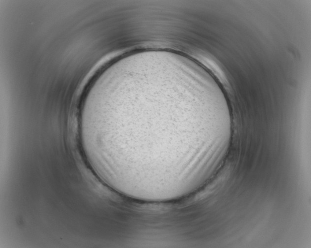 X0000113901000200910221434