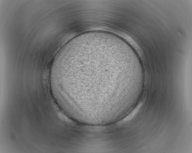 X0000113901001200910221434