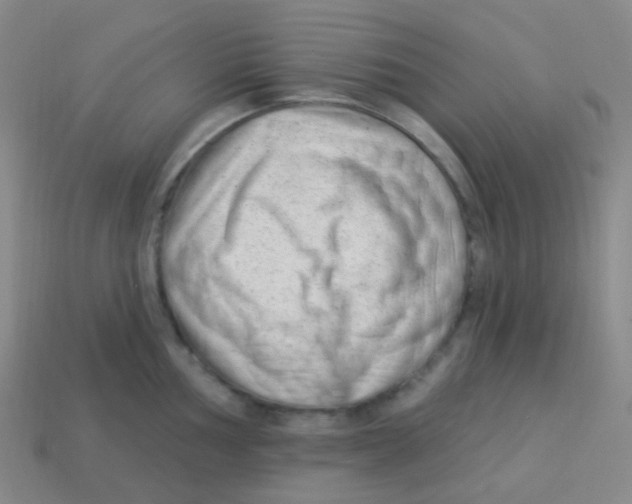 X0000113901002200910221434