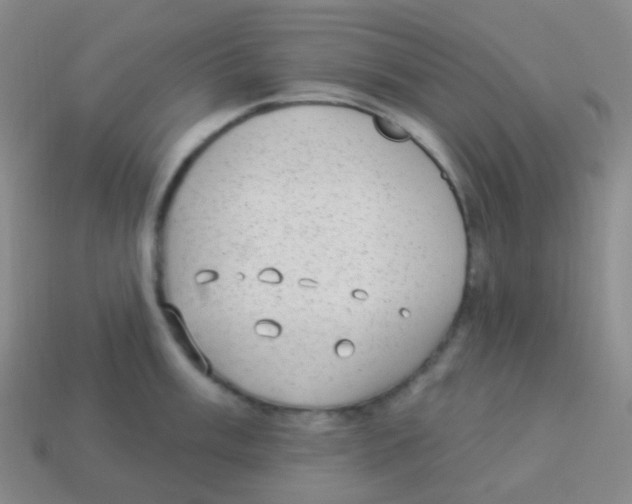 X0000113901003200910221434