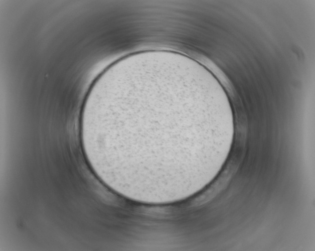 X0000113901004200910221434