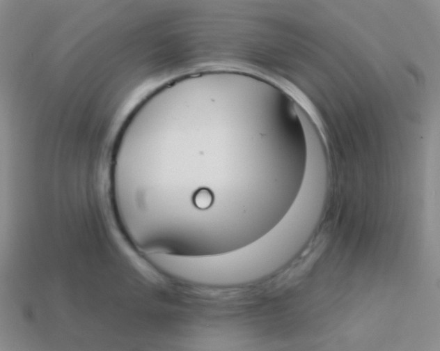 X0000113901005200910221434