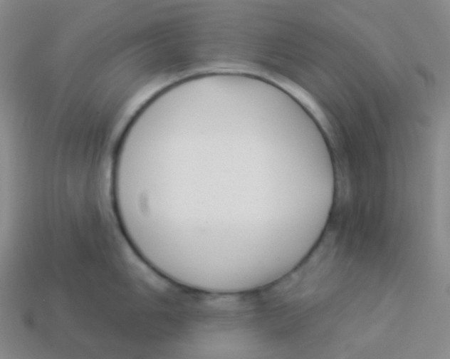 X0000113901006200910221434