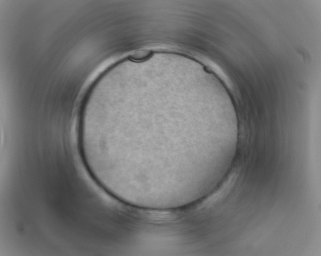 X0000113901007200910221434