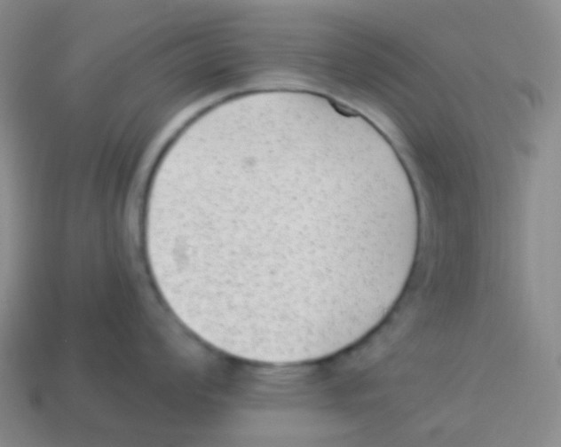 X0000113901008200910221434