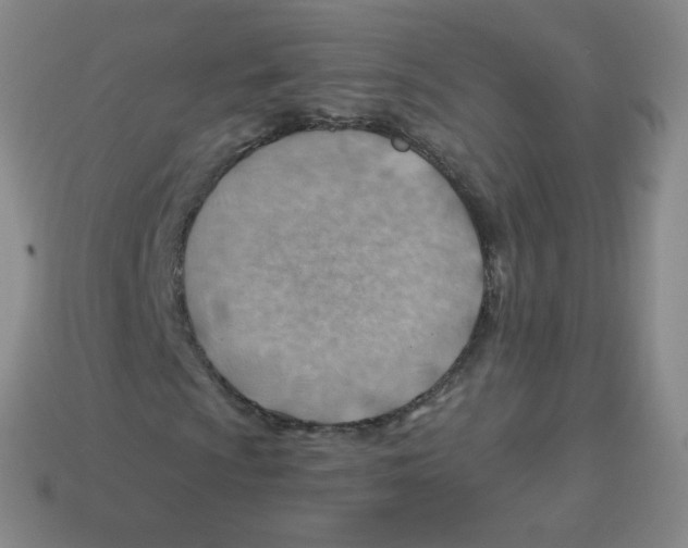 X0000113901009200910221434