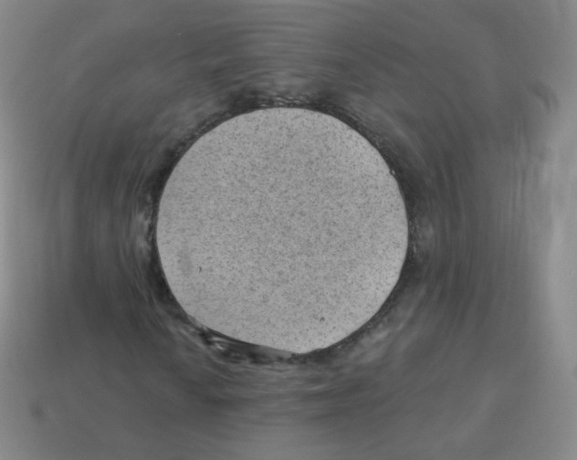 X0000113901010200910221434