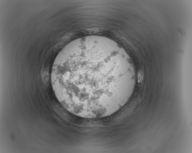 X0000113901011200910221434