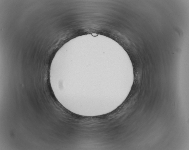 X0000113901012200910221434