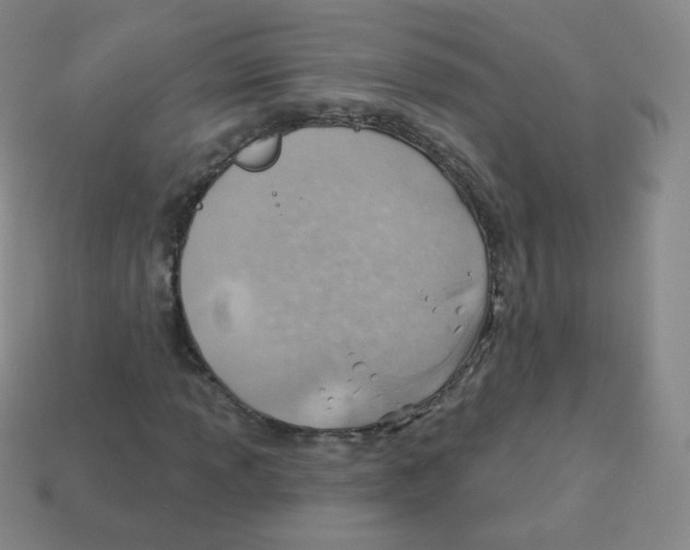 X0000113901013200910221434