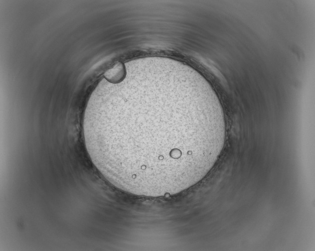 X0000113901015200910221434