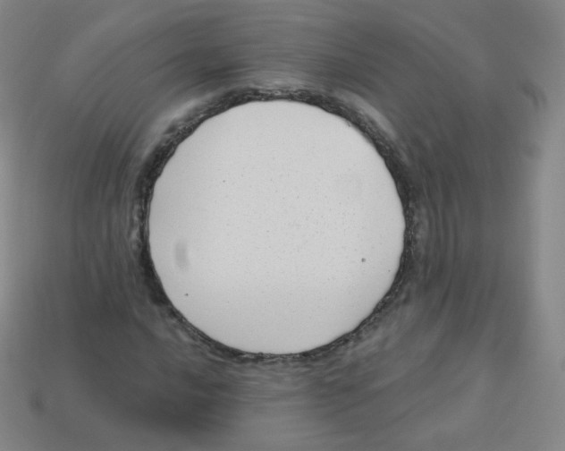 X0000113901016200910221434