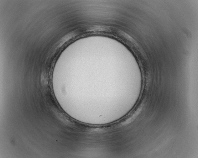 X0000113901017200910221434