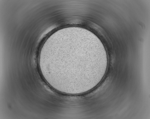 X0000113901018200910221434