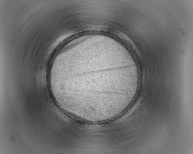 X0000113901019200910221434