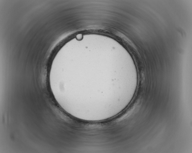 X0000113901021200910221434