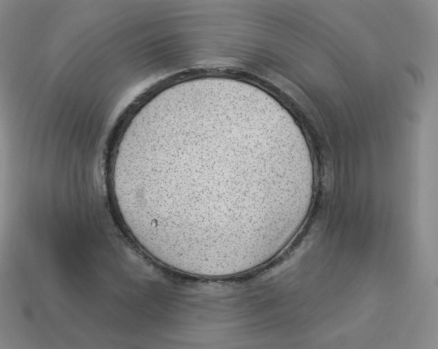 X0000113901022200910221434