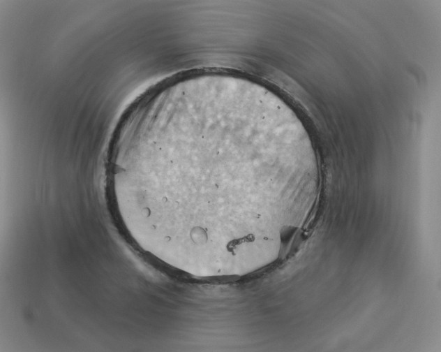 X0000113901024200910221434