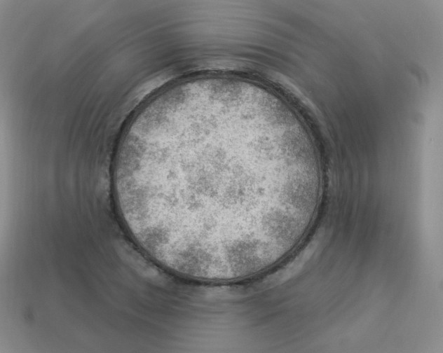 X0000113901025200910221434