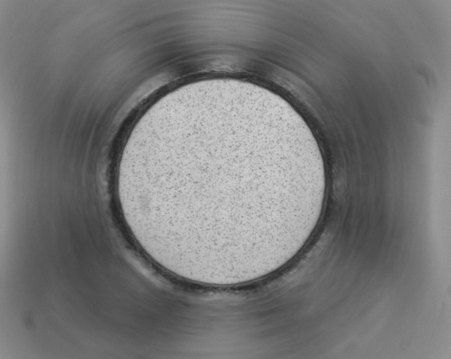 X0000113901026200910221434