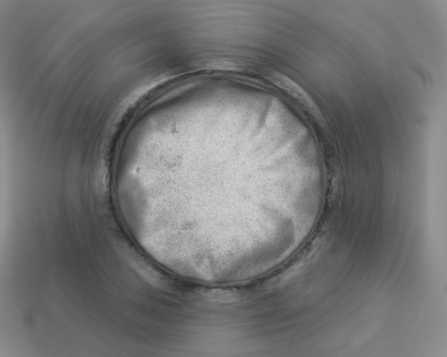 X0000113901027200910221434